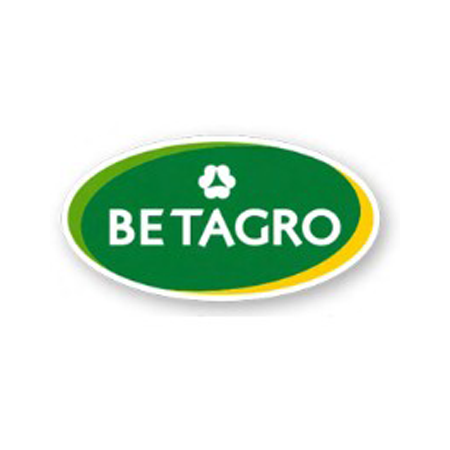 Artboard 10